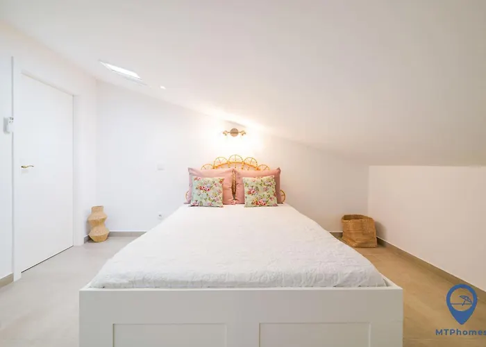 Palmeiras By Mtphomes 알부페이라